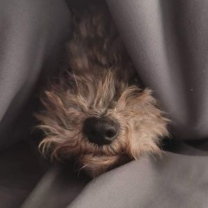 Meet your Posher, Kerry